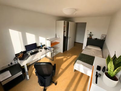 /international/de/rosensteinstrasse-stuttgart-baden-wurttemberg-310107913333/
