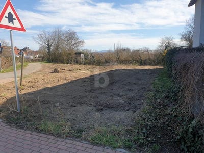 /international/de/ihringen-baden-wurttemberg-310108727628/