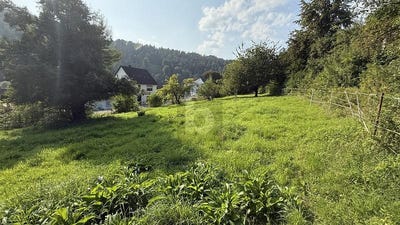 /international/de/staufenberg-lower-saxony-310108318726/
