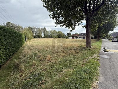 /international/de/hasbergen-lower-saxony-310108481303/