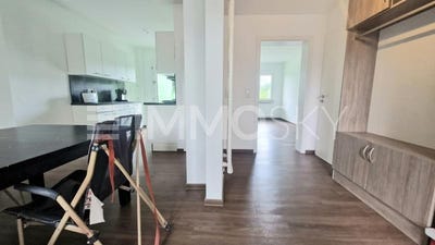 /international/de/springe-lower-saxony-310101483878/