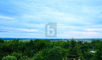 /international/de/ballenstedt-saxony-anhalt-310100990886/?lang=zh-tw