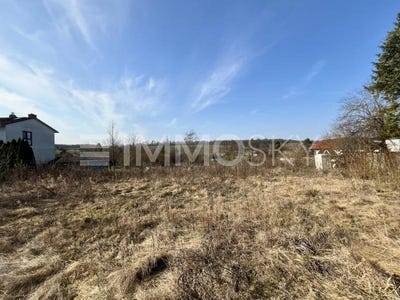 /international/de/usingen-hesse-310100988863/