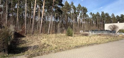 /international/de/borgsdorf-brandenburg-310108484019/