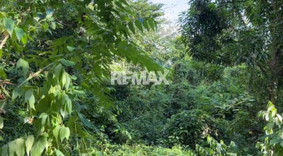 /international/do/santo-domingo-de-guzman-distrito-nacional-310103095513/