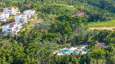 /international/do/el-coson-samana-samana-310106687206/
