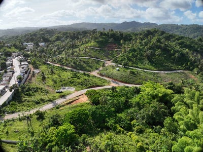 /international/do/samana-samana-samana-310108403707/