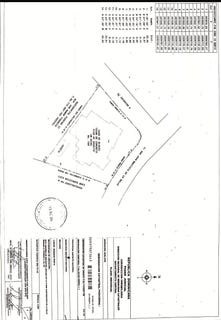 /international/do/renacimiento-santo-domingo-de-guzman-santo-domingo-310108283518/