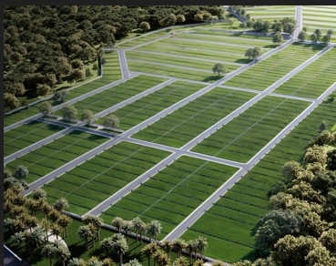 /international/do/unnamed-road-punta-cana-la-altagracia-province-310101279352/?lang=en
