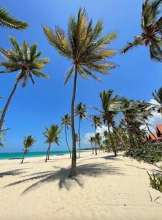 /international/do/punta-cana-la-altagracia-province-310100857105/