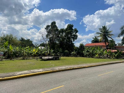 /international/do/alameda-santo-domingo-de-guzman-santo-domingo-310106482616/