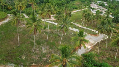 /international/do/samana-samana-samana-310108921908/?lang=it