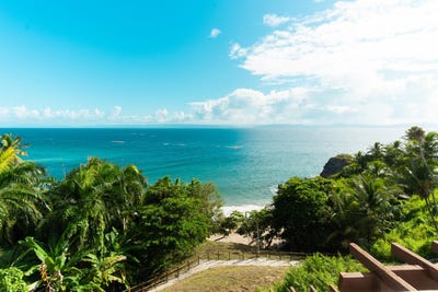 /international/do/los-naranjos-samana-samana-310106994656/