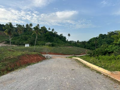 /international/do/samana-samana-samana-310108923298/?lang=it