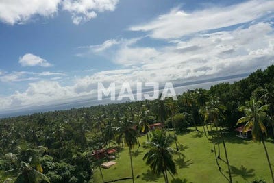 /international/do/ocean-front-beautiful-land-samana-arroyo-barril-samana-120081792937/