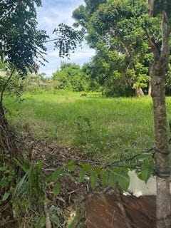 /international/do/puerto-plata-puerto-plata-310100103783/