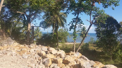 /international/do/el-portillo-samana-samana-120083959851/?lang=zh-tw
