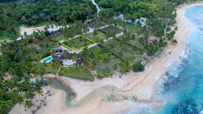 /international/do/el-coson-samana-samana-310105895358/