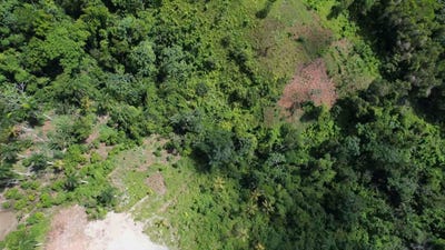 /international/do/loma-de-la-pina-samana-samana-310105944449/