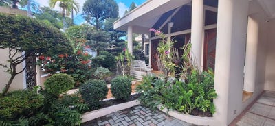 /international/do/los-cacicazgos-santo-domingo-santo-domingo-310101080985/?lang=zh-cn