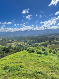 /international/do/jarabacoa-la-vega-la-vega-310108366804/