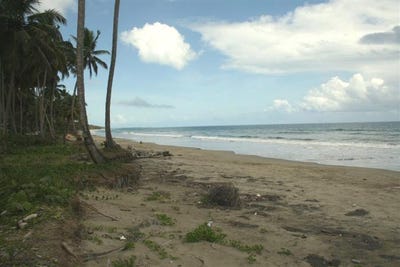 /international/do/mm9g-2gm-gaspar-hernandez-56000-dominican-republic-gaspar-hernandez-puerto-plata-120093091915/