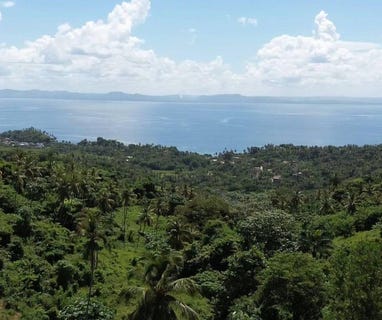 /international/do/samana-samana-samana-310108401791/
