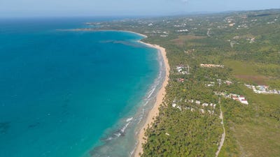 /international/do/el-coson-samana-samana-310108860387/?lang=it