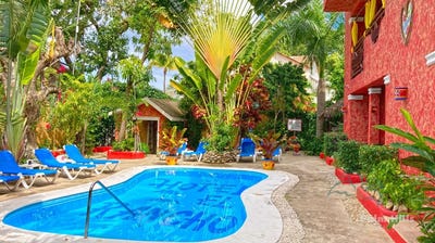 /international/do/sosua-sosua-puerto-plata-310094663388/