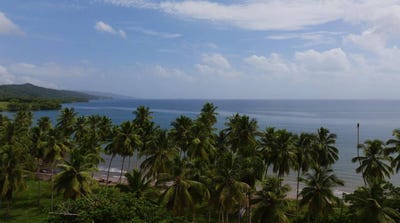 /international/do/samana-samana-samana-310108156434/