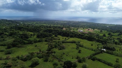 /international/do/pozo-hondo-maria-trinidad-sanchez-maria-trinidad-sanchez-province-310107914077/
