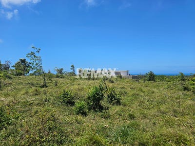 /international/do/cabarete-puerto-plata-puerto-plata-310104247039/