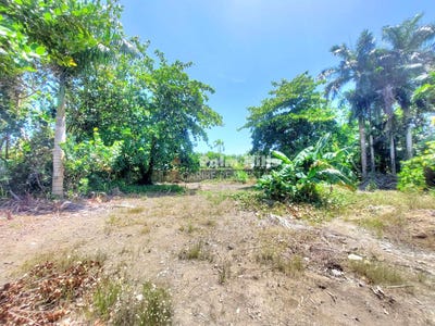 /international/do/qh7f-c5m-cabarete-57000-dominican-republic-cabarete-puerto-plata-310100555288/