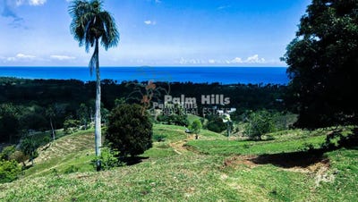 /international/do/sabaneta-de-yasica-sabaneta-de-yasica-puerto-plata-120085994873/