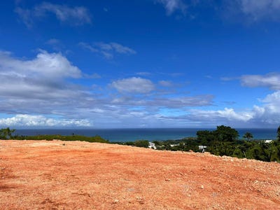 /international/do/el-coson-samana-samana-310102888927/