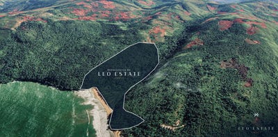 /international/do/el-valle-samana-samana-310096509338/