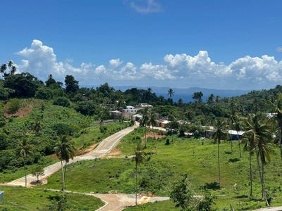 /international/do/samana-samana-samana-310108400363/