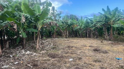 /international/do/cabrera-maria-trinidad-sanchez-maria-trinidad-sanchez-province-310108082736/