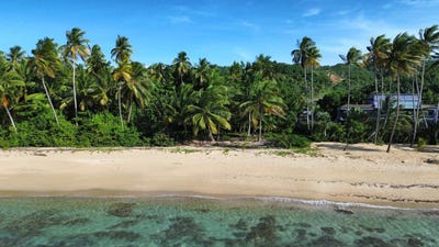 /international/do/el-coson-samana-samana-310108830232/