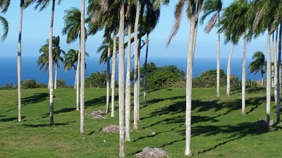 /international/do/catalina-arriba-maria-trinidad-sanchez-maria-trinidad-sanchez-province-310100786587/