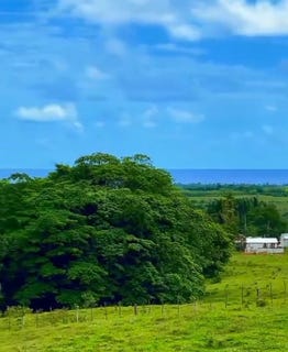 /international/do/unnamed-road-el-cedro-d-m-el-seibo-310100543244/