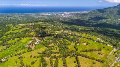 /international/do/p7qc-5j5-luperon-puerto-plata-57000-dominican-republic-puerto-plata-puerto-plata-310107018111/