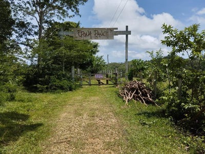 /international/do/las-guazaras-samana-samana-310108373289/