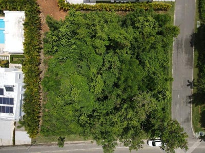 /international/do/playa-nueva-romana-san-pedro-de-macoris-san-pedro-de-macoris-310108367402/