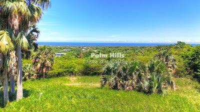 /international/do/qg35-wmr-2-sosua-57000-dominican-republic-sosua-puerto-plata-310094806006/?lang=zh-tw