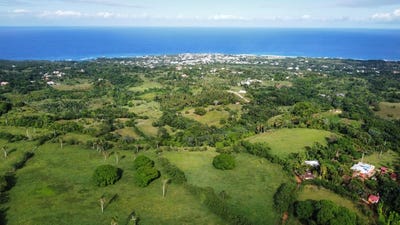 /international/do/media-gorra-maria-trinidad-sanchez-maria-trinidad-sanchez-province-310100790455/