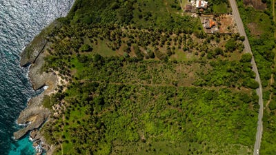 /international/do/las-galeras-samana-samana-310108969093/?lang=it