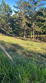 /international/do/jarabacoa-la-vega-la-vega-310108521490/