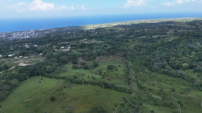 /international/do/caya-clara-maria-trinidad-sanchez-maria-trinidad-sanchez-province-310108003460/