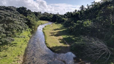 /international/do/sabaneta-de-yasica-sabaneta-de-yasica-puerto-plata-120086833483/